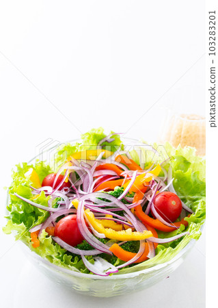 桌上的蔬菜沙拉和調料 桌上的蔬菜沙拉和調料 103283201