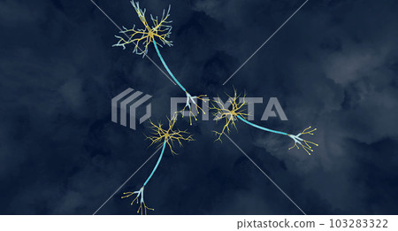 Epileptic Seizure Activity in Neurons Epileptic Seizure Activity in Neurons 103283322
