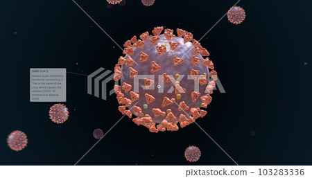 COVID-19 is caused by the SARS-CoV-2 virus. 103283336