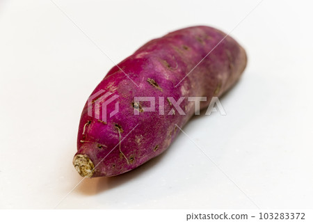 fat sweet potato fat sweet potato 103283372