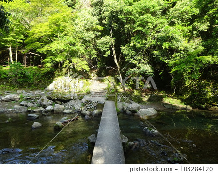 京都環遊道上的清瀧瀑布 103284120