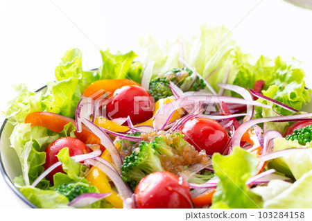 vegetable salad on the table 103284158