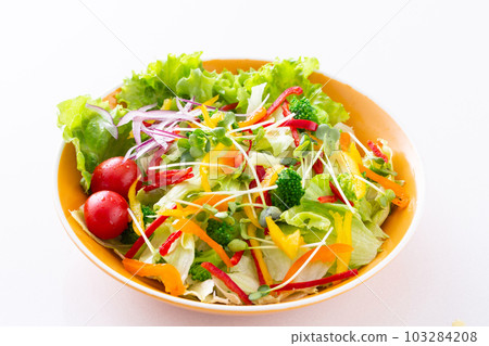 vegetable salad on the table vegetable salad on the table 103284208