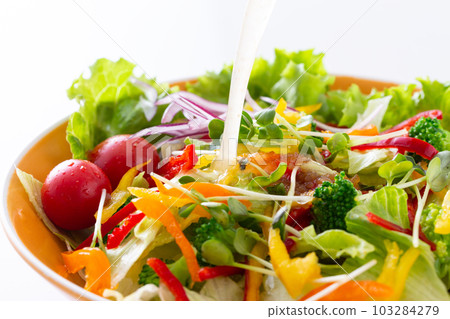 蔬菜沙拉上的意大利醬 103284279