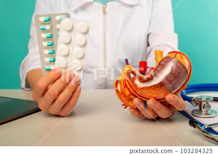 Doctor holding anatomical stomach model and pillls in his office 103284325