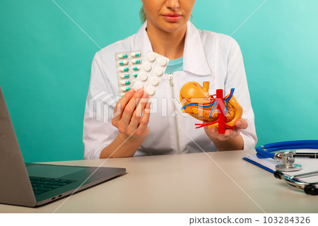 Doctor holding anatomical pancreas model and pillls in his office 103284326