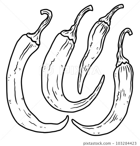 Set of illustrations of chilli peppers in engraving style. Design element for emblem, sign, poster, card, banner, flyer. Vector illustration Set of illustrations of chilli peppers in engraving style. Design element for emblem, sign, poster, card, banner, flyer. Vector illustration 103284423