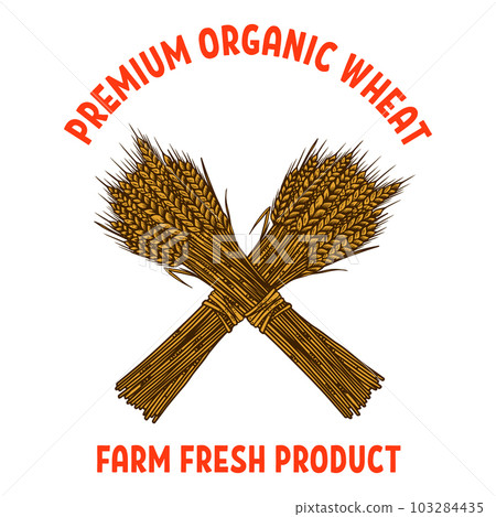 Illustration of sheaf of a wheat in engraving style. Design element for emblem, sign, poster, card, banner, flyer. Vector illustration 103284435
