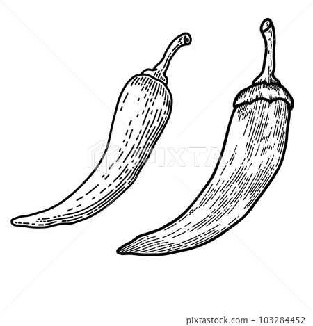 Set of illustrations of chilli peppers in engraving style. Design element for emblem, sign, poster, card, banner, flyer. Vector illustration 103284452
