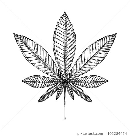 Illustration of marijuana leaf in engraving style. Design element for poster, card, banner, sign. Vector illustration Illustration of marijuana leaf in engraving style. Design element for poster, card, banner, sign. Vector illustration 103284454