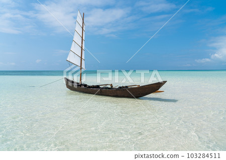 竹富島薩巴尼 103284511