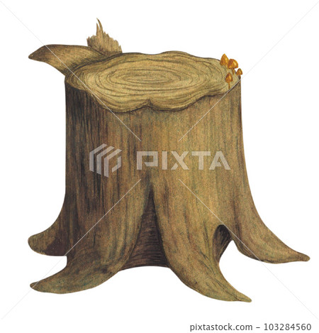Tree stump, cut wood trunk. Watercolor illustration on a white background. Hand drawn 103284560