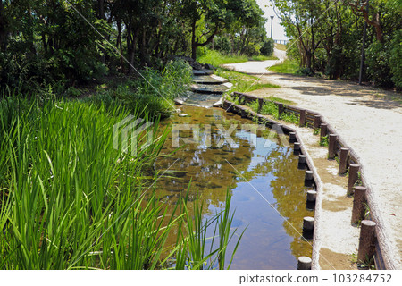 沿著公園長廊的天然池塘 沿著公園長廊的天然池塘 103284752