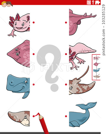 match halves of pictures with marine animals educational activity 103285129