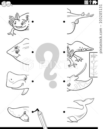 match halves of marine animals pictures activity coloring page match halves of marine animals pictures activity coloring page 103285131