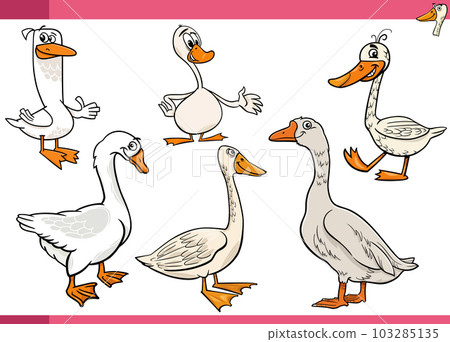 cartoon geese farm birds animal characters set cartoon geese farm birds animal characters set 103285135
