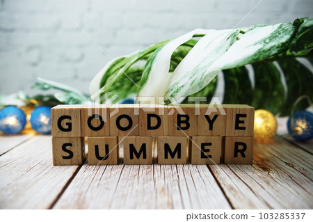 Goodbye Summer alphabet letter with Monstera leave decoration on wooden background Goodbye Summer alphabet letter with Monstera leave decoration on wooden background 103285337