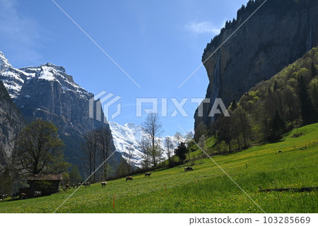 [Switzerland] Lauterbrunnen 103285669
