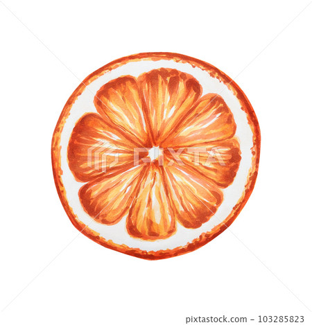 Watercolor Christmas illustration with fresh mandarin. New year hand painting orange isolated on white background. For designers, food decoration, menu, shop, for postcards, wrapping paper, covers. 103285823