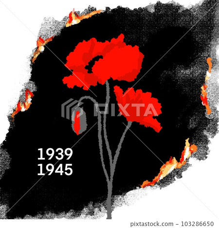 Hand drawn illustration of world war ii two second with red poppies, poppy flower 1939 1945 date. Fire burning paper concept, memorial commemoration poster, rememberance day military symbol history Hand drawn illustration of world war ii two second with red poppies, poppy flower 1939 1945 date. Fire burning paper concept, memorial commemoration poster, rememberance day military symbol history 103286650