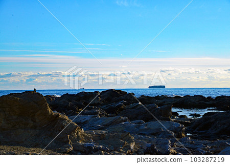 [Minamiboso City, Chiba Prefecture] Nemoto Beach in January 103287219