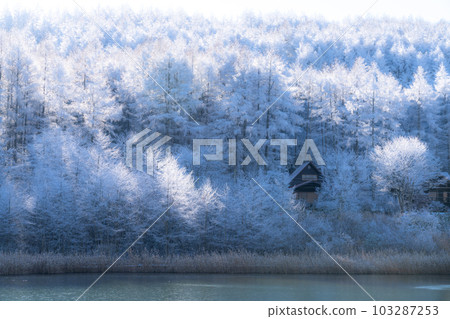 《長野縣》中卷湖雪景/白霜之森 103287253