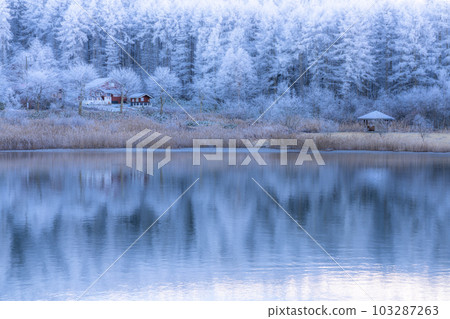 《長野縣》中卷湖雪景/白霜之森 《長野縣》中卷湖雪景/白霜之森 103287263