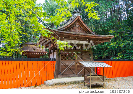 新綠季節的京都八瀨禦影神社 103287266