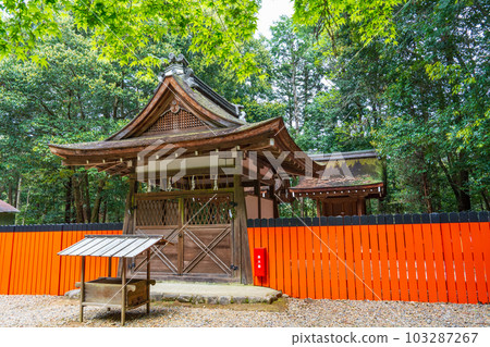新綠季節的京都八瀨禦影神社 103287267