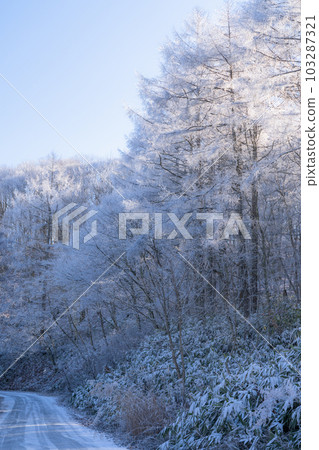 《長野縣》中卷湖雪景/白霜之森 103287321