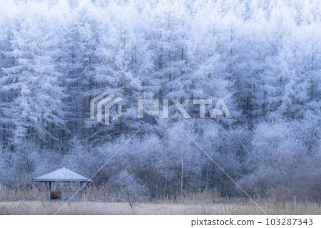 《長野縣》中卷湖雪景/白霜之森 103287343
