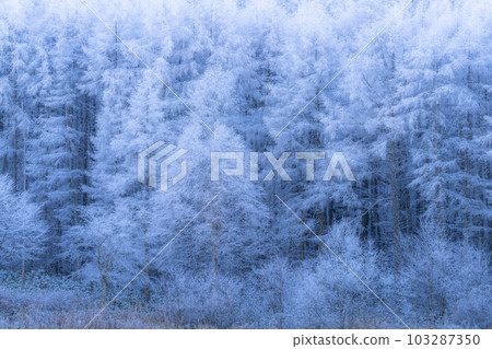 《長野縣》中卷湖雪景/白霜之森 103287350