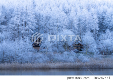 《Nagano Prefecture》Lake Nakamaki Snow Scenery / Forest of Hoarfrost 103287351