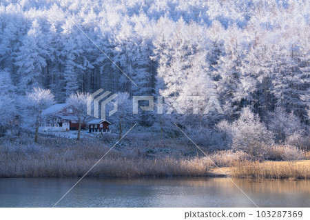 《Nagano Prefecture》Lake Nakamaki Snow Scenery / Forest of Hoarfrost 103287369