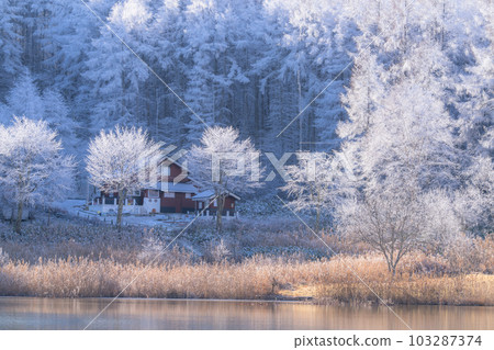 《Nagano Prefecture》Lake Nakamaki Snow Scenery / Forest of Hoarfrost 《Nagano Prefecture》Lake Nakamaki Snow Scenery / Forest of Hoarfrost 103287374