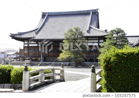 Takashima City, Shiga Prefecture Sotakuji Main Hall and fresh greenery Takashima City, Shiga Prefecture Sotakuji Main Hall and fresh greenery 103287575