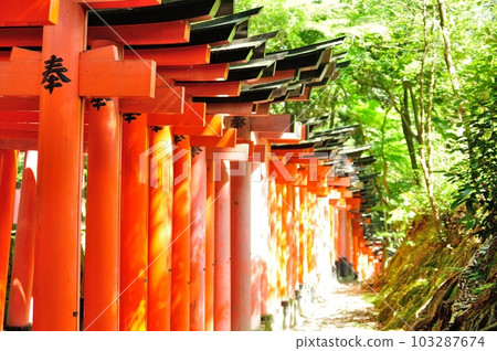 Fushimi-Inari Taisha Shrine Torii Torii 103287674
