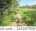 Park alley gravel residential landscape background 103287958