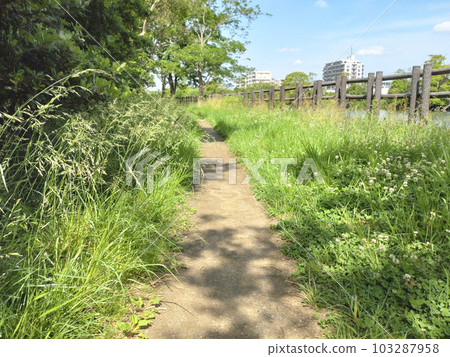 Park alley gravel residential landscape background 103287958
