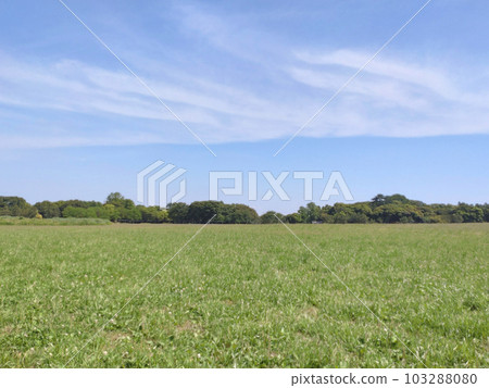 grassland with blue sky 103288080