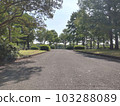 forest asphalt park material 103288089