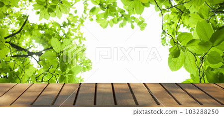 Banner material Forest table Banner material Forest table 103288250
