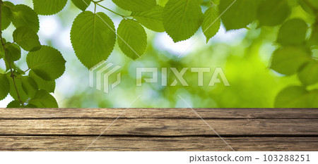 Banner material Forest table Banner material Forest table 103288251