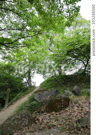 遠足和觀景台 103288560