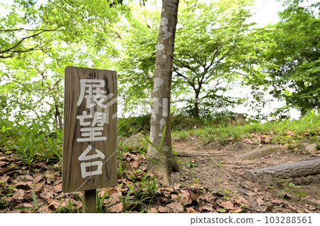 遠足和觀景台 遠足和觀景台 103288561