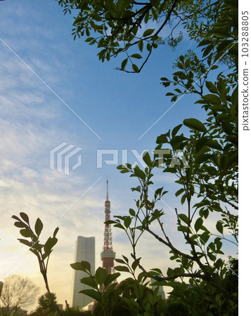 暮色天空和東京鐵塔在一個晴天 暮色天空和東京鐵塔在一個晴天 103288805