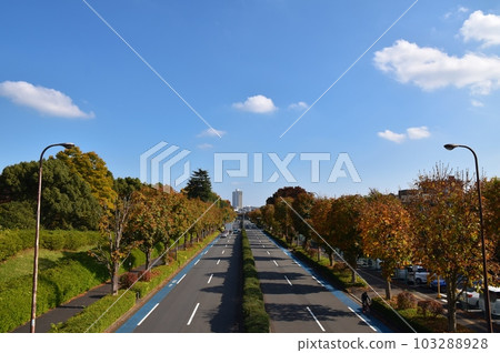 Autumn in front of Nishitachikawa Station, Tokyo 103288928