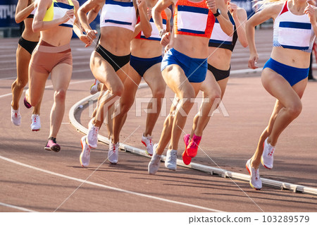 group women runners athletes running 800 metres in summer athletics championships group women runners athletes running 800 metres in summer athletics championships 103289579