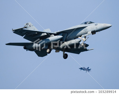MCAS Iwakuni F/A-18E and F-35B US Navy VFA-195 103289914