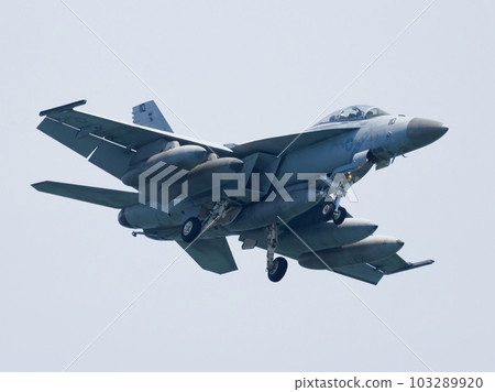 MCAS Iwakuni F/A-18F U.S. Navy VFA-102 MCAS Iwakuni F/A-18F U.S. Navy VFA-102 103289920